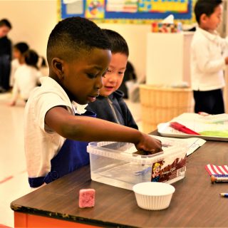 P1090875-1 P1090875-1