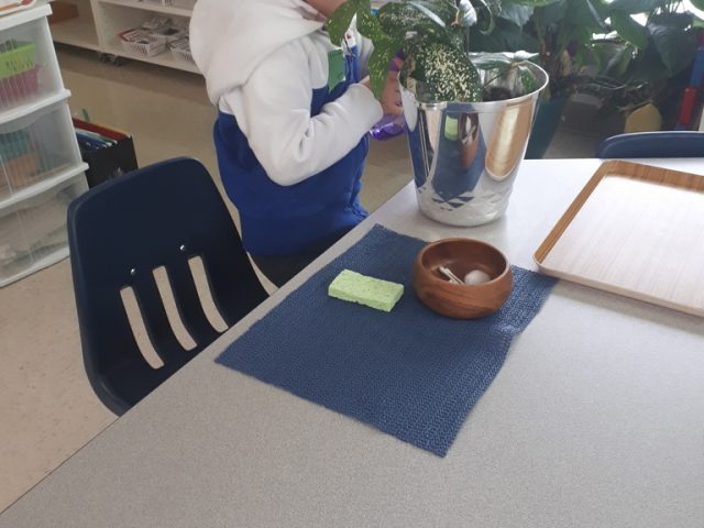 8049b42bbd94ec3c719fef5f81ff5ded